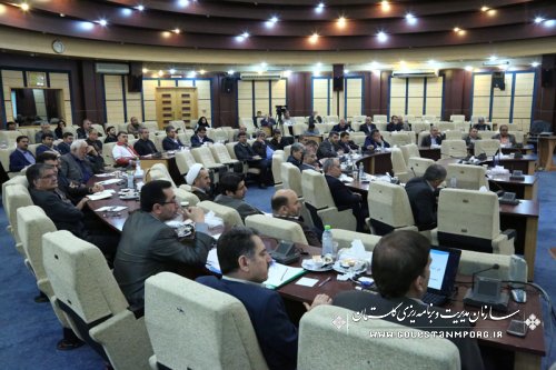 گزارش نتایج سرشماری اینترنتی در پنجمین جلسه شورای برنامه ریزی وتوسعه استان