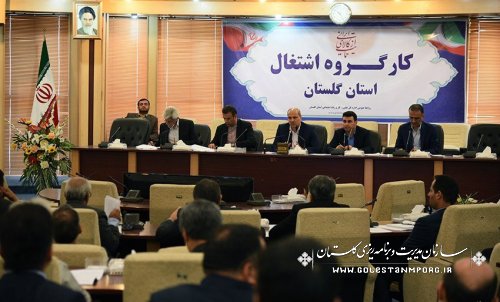 حضور رئیس سازمان مدیریت و برنامه ریزی در کارگروه اشتغال استان گلستان