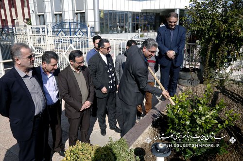 برگزاری روز درختکاری در سازمان مدیریت وبرنامه ریزی استان گلستان