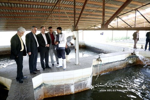 بازدید رئیس سازمان از مرکز بازسازی و حفاظت از ذخایر ژنتیکی ماهیان خاویاری شهید مرجانی