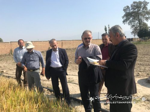 بازدید دکتر روزبهان ازمرکز تحقیقات کشاورزی واقع در ایستگاه تحقیقات عراقی محله گرگان