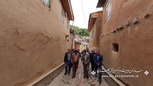 بازدید رئیس سازمان از از روند اجرای طرح بهسازی بافت باارزش روستای قلعه قافه پایین مینودشت