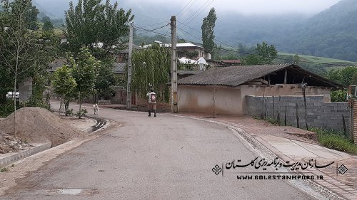بازدید رئیس سازمان از روند اجرای طرح هادی روستای لیسه شهرستان مینودشت