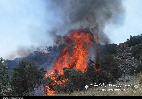 حضور رئیس سازمان در بازدید از آتش سوزی منطقه توسکستان