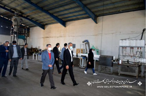 بازدید رئیس سازمان مدیریت و برنامه ریزی استان گلستان از کارخانه کاسپین چیکا در گنبدکاووس