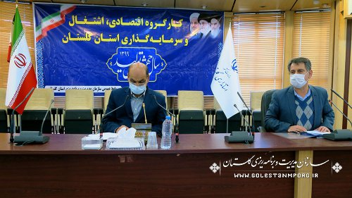 رئیس سازمان مدیریت و برنامه ریزی استان گلستان در کارگروه اقتصادی،اشتغال و سرمایه گذاری استان