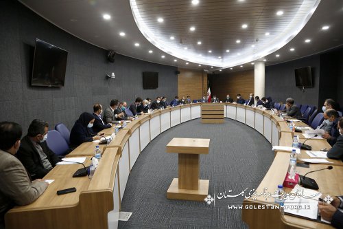 رئیس سازمان مدیریت و برنامه ریزی استان گلستان در جلسه کارگروه ویژه اقتصادی استان