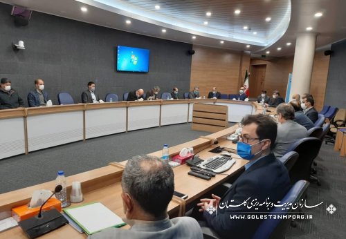 رئیس سازمان مدیریت و برنامه ریزی استان در جلسه فنی تکثیر و پرورش میگو استان