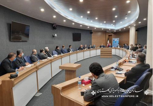 رئیس سازمان مدیریت و برنامه ریزی استان در جلسه فنی تکثیر و پرورش میگو استان