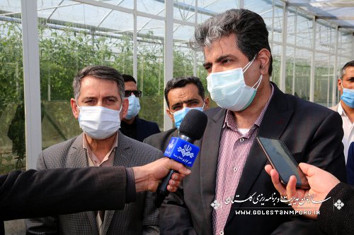 بازدید رئیس سازمان مدیریت و برنامه ریزی استان گلستان از مجتمع کشت و صنعت دکتر بسکی در مینودشت
