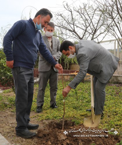 رئیس سازمان: عطر شهیدان در سازمان مدیریت و برنامه ریزی استان گلستان با طرح یک شهید والامقام  یک نهال،به مناسبت روز درختکاری