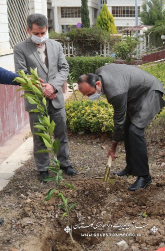 رئیس سازمان: عطر شهیدان در سازمان مدیریت و برنامه ریزی استان گلستان با طرح یک شهید والامقام  یک نهال،به مناسبت روز درختکاری