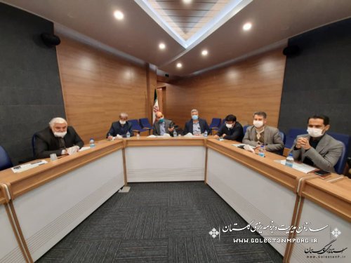 رئیس سازمان مدیریت و برنامه ریزی استان گلستان در نهمین جلسه شورای معادن استان