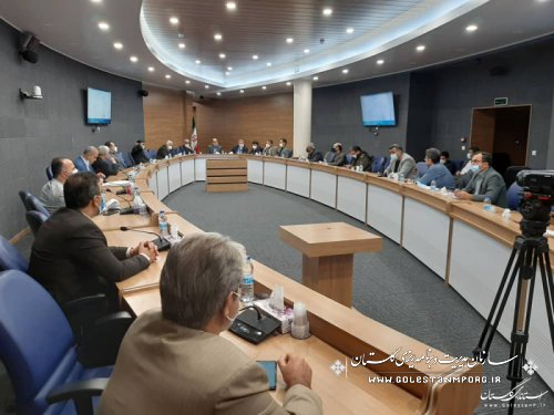 رئیس سازمان مدیریت و برنامه ریزی استان گلستان در نهمین جلسه شورای معادن استان