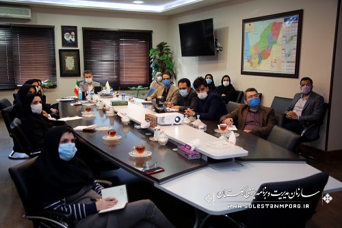 رئیس سازمان مدیریت و برنامه ریزی استان گلستان در وبینار بودجه 1400