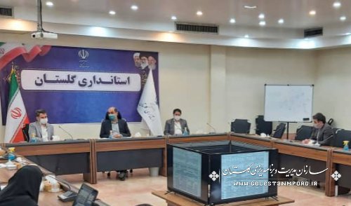رئیس سازمان مدیریت  و برنامه ریزی استان گلستان در جلسه شورای راهبری توسعه مدیریت استان