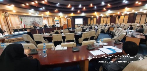 سازمان مدیریت و برنامه ریزی استان گلستان در جلسه شورای راهبردی جمعیت استان