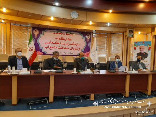 رئیس سازمان مدیریت و برنامه ریزی استان گلستان در دومین جلسه شورای حفاظت از منابع آب استان