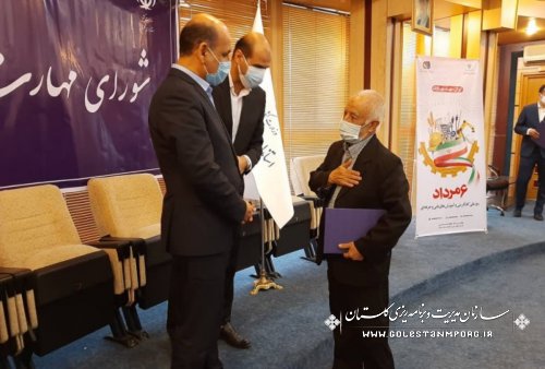 رئیس سازمان مدیریت و برنامه ریزی استان گلستان در جلسه شورای مهارت استان