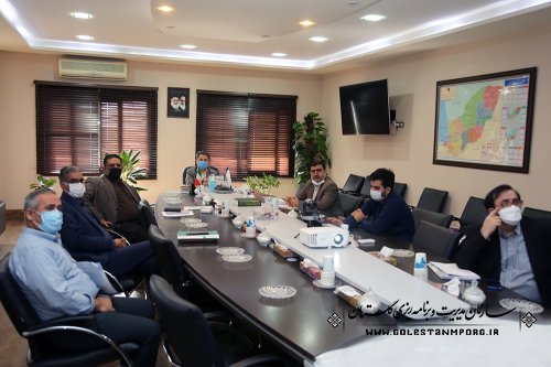 حضور رئیس سازمان مدیریت و برنامه ریزی استان گلستان در جلسه کارگروه برنامه و بودجه استانها 1401