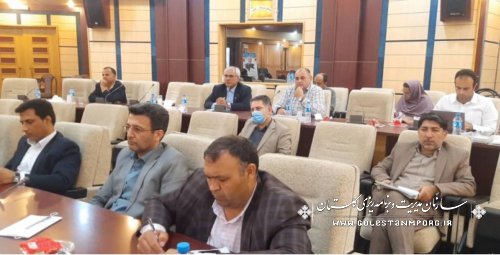  رئیس سازمان مدیریت و برنامه ریزی استان گلستان در جلسه کارگروه تنظیم بازار