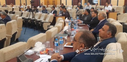  رئیس سازمان مدیریت و برنامه ریزی استان گلستان در جلسه کارگروه تنظیم بازار