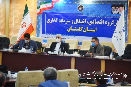 عابدی رئیس سازمان در کارگروه اقتصادی اشتغال و سرمایه گذاری استان گلستان