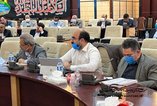 رئیس سازمان مدیریت و برنامه ریزی استان گلستان در جلسه شورای گفت‌ و گوی دولت و بخش خصوصی