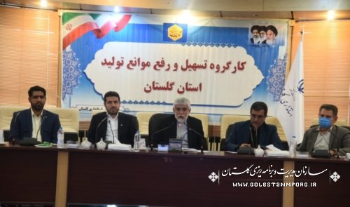 رئیس سازمان مدیریت و برنامه ریزی استان گلستان در کارگروه تسهیل و رفع موانع تولید استان