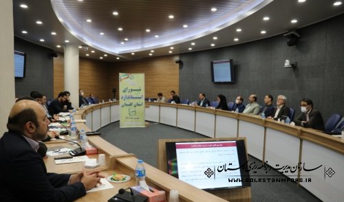 رئیس سازمان مدیریت و برنامه ریزی استان گلستان در یازدهمین جلسه شورای استاندارد گلستان
