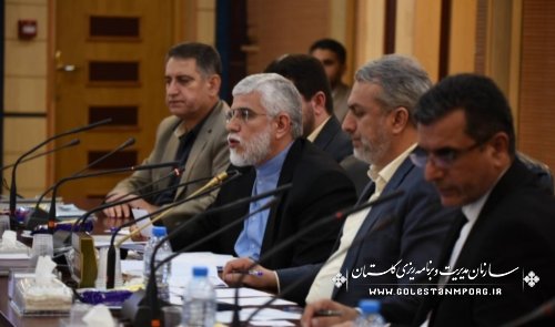 رئیس سازمان مدیریت و برنامه ریزی استان گلستان در نشست با فعالان اقتصادی استان با حضور وزیر صمت
