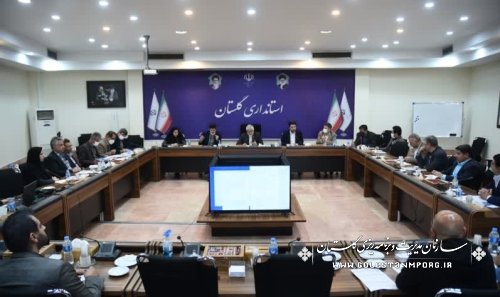 رئیس سازمان مدیریت و برنامه ریزی استان گلستان در نشست پیگیری مصوبات سفر رییس جمهور