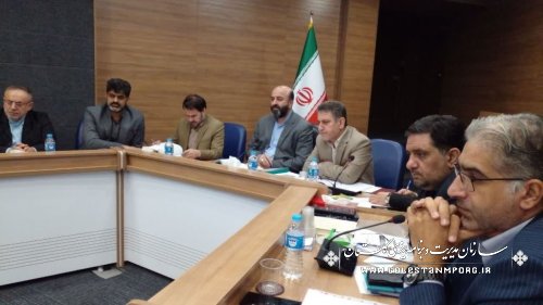 رئیس سازمان مدیریت و برنامه ریزی استان گلستان در نشست طرح تحول و توانمندسازی اجتماع‌محور محلات ۲۰۲۰ گانه کشور