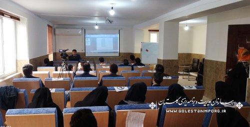 برگزاری دوره آموزشی اینفوگرافیک و تصویرسازی مقدماتی برای روابط عمومی دستگاههای اجرایی استان گلستان