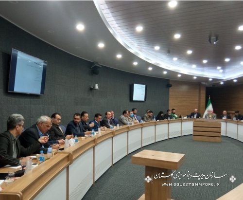 رئیس سازمان مدیریت و برنامه ریزی استان گلستان در شورای راهبری سندچشم انداز