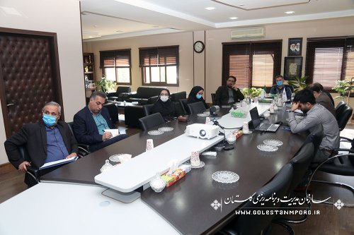 رئیس سازمان مدیریت و برنامه ریزی استان گلستان در جلسه وبینار هم اندیشی برنامه هفتم توسعه 