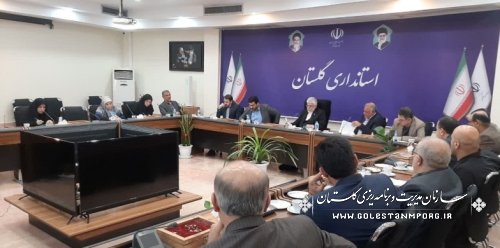 رئیس سازمان مدیریت و برنامه ریزی استان گلستان در جلسه شورای تربیت بدنی و ورزش استان