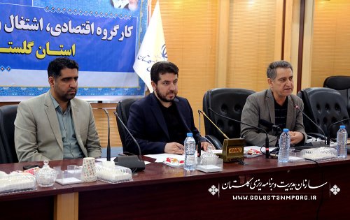 عابدی: بررسی چالش ها و توسعه ظرفیت زیرساخت های حوزه گردشگری و دانش بنیان از اولویت های مهم توسعه استان گلستان است