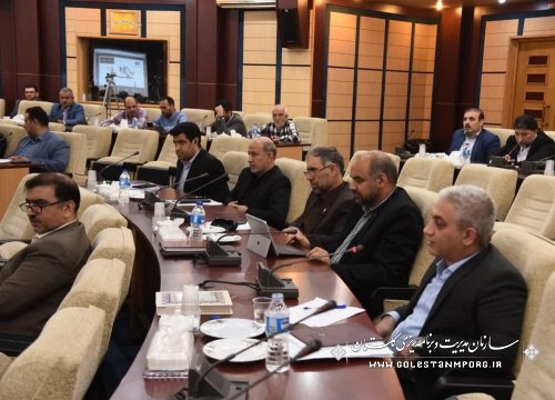 حضور عابدی رئیس سازمان در شصت و هشتمین جلسه شورای گفت‌وگوی دولت و بخش خصوصی گلستان