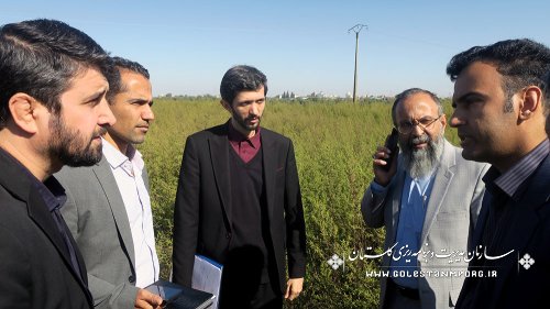 تاکید نورانی رئیس سازمان به بازدید از پروژه زمین نودیجه