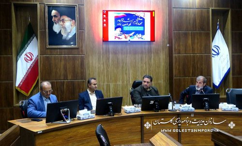 نورانی رئیس سازمان: برای عملیاتی شدن سریع پروژه های مهم استان گلستان بایستی بخش های غیردولتی و خصوصی هم وارد میدان شوند