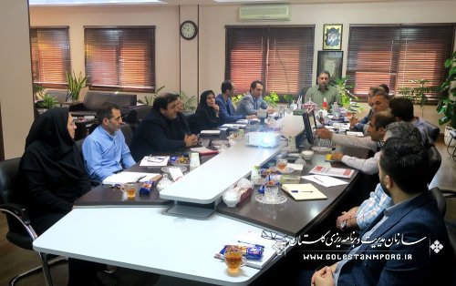 نورانی رئیس سازمان: پیشرفت استان گلستان با توسعه سرمایه گذاری های داخلی و خارجی محقق می شود