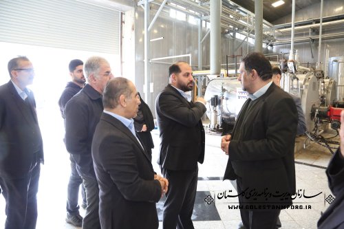 علیرضا نورانی رئیس سازمان از کارخانه رشد دانه - واحد دانش بنیان (تولید ویتامین E) در شهرک صنعتی آق قلا بازدید کرد